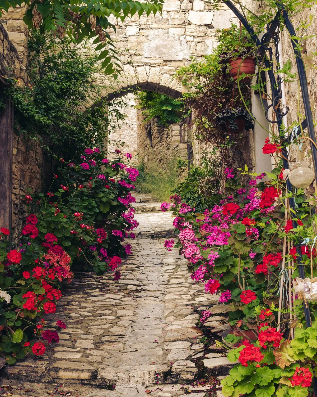 Gepflasterte Dorfgasse in Pano Lefkara mit Steinbogen und blühenden Geranien.