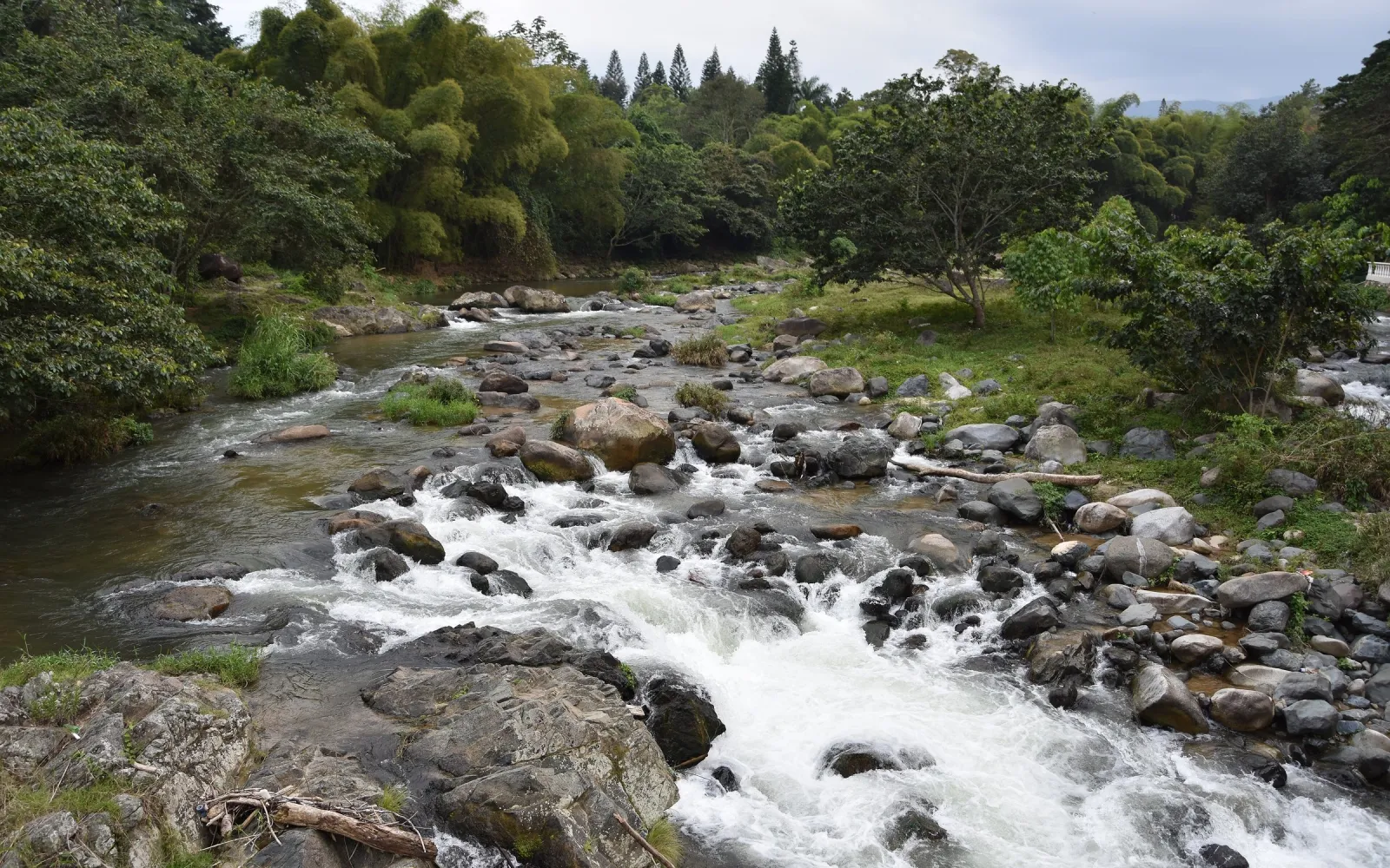 Der Río Jimenoa fließt über Felsen durch das grüne, bewaldete Bergland von Jarabacoa.