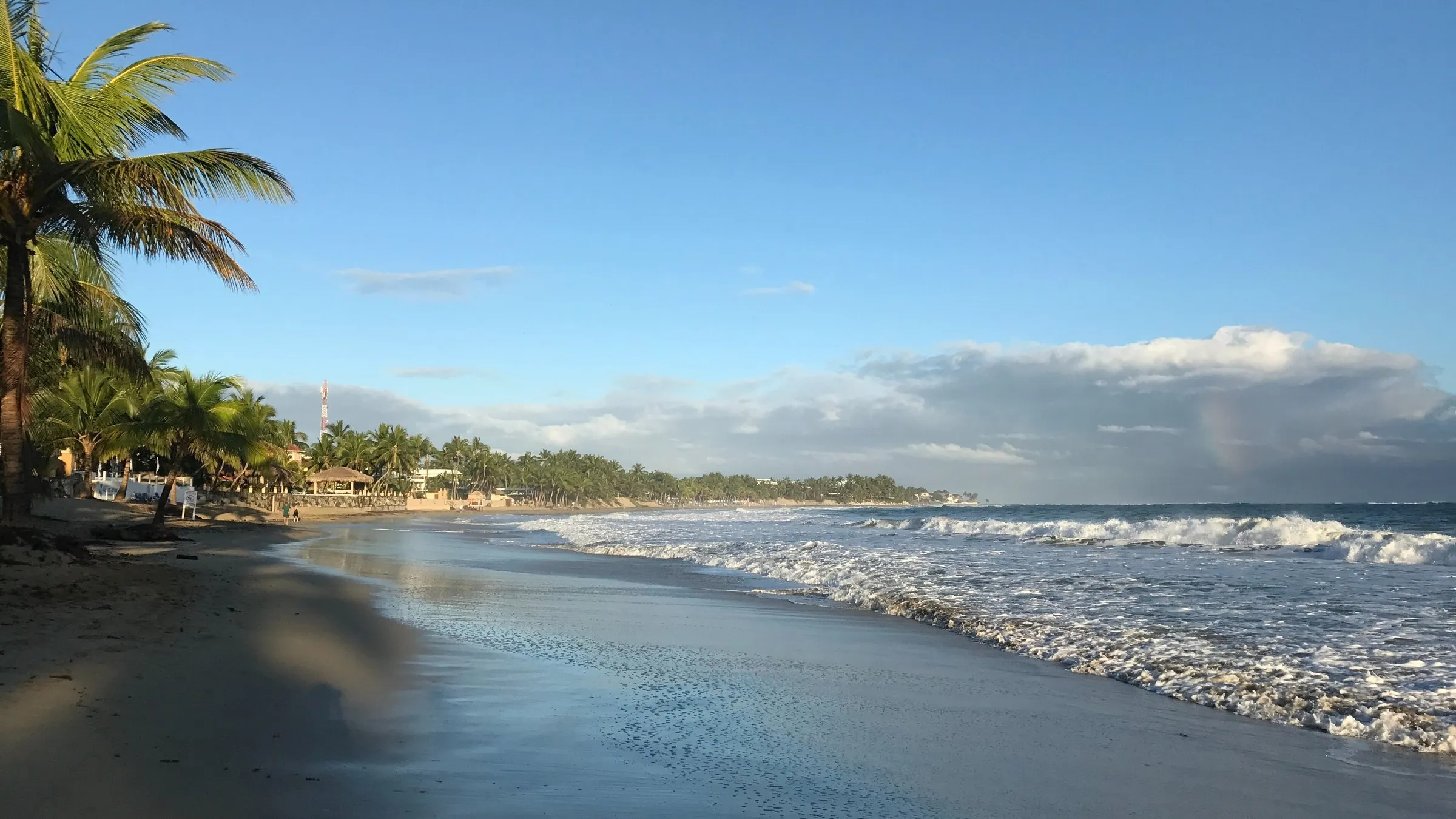 Palmengesäumter Strand von Cabarete mit Brandung im Morgenlicht.
