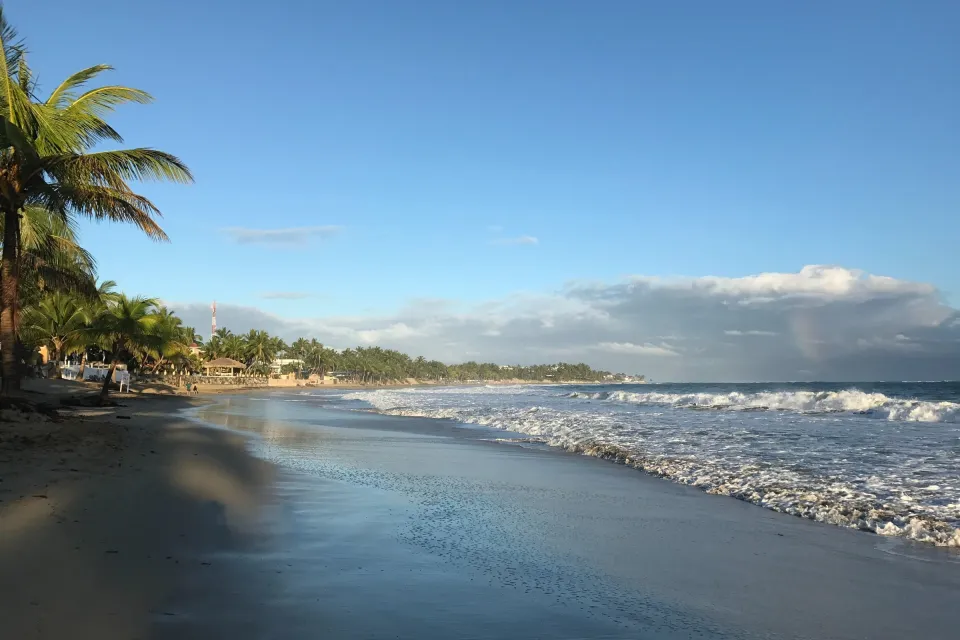 Palmengesäumter Strand von Cabarete mit Brandung im Morgenlicht.