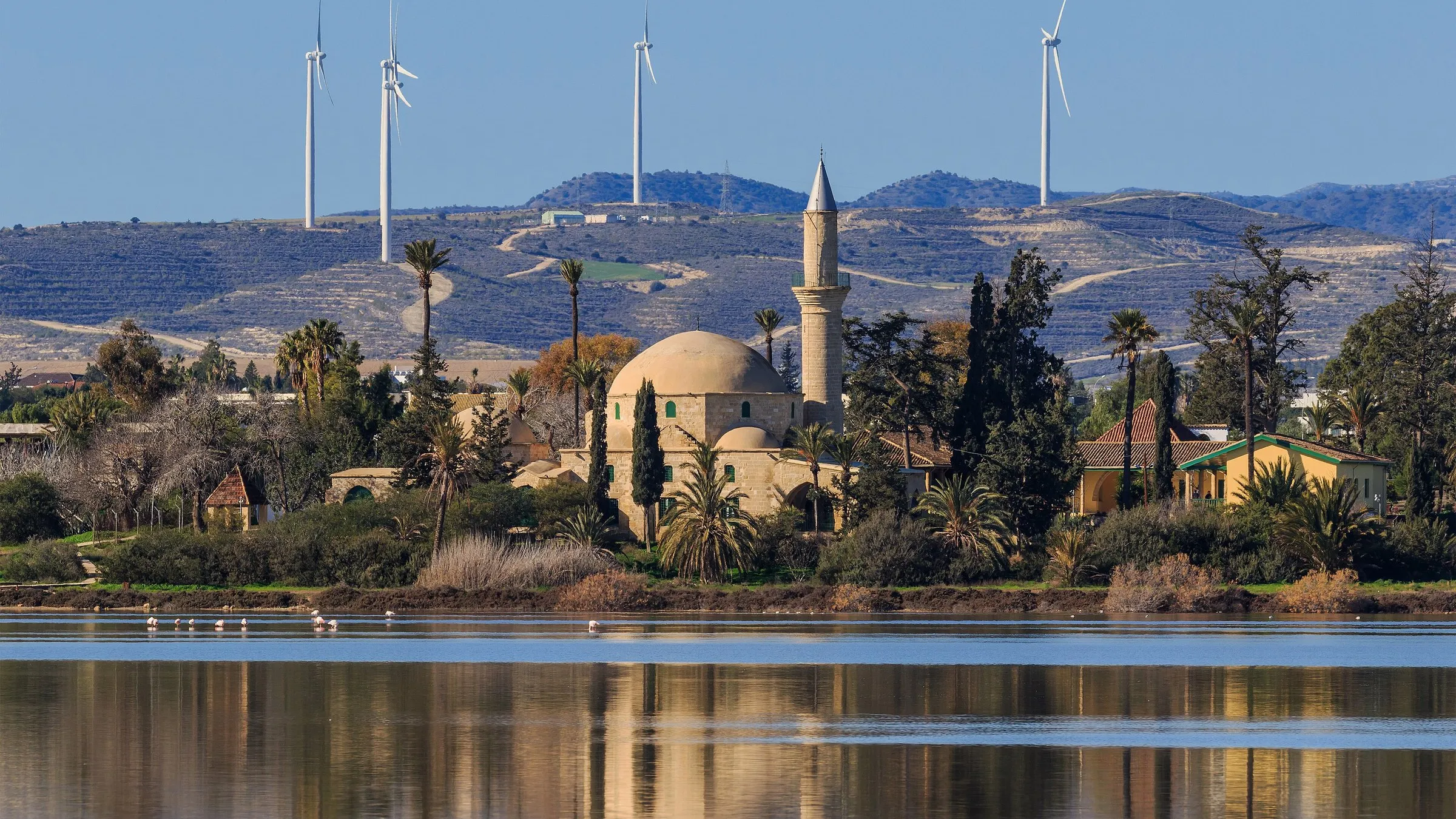 Die Moschee Hala Sultan Tekke zwischen Palmen spiegelt sich im Salzsee von Larnaka.