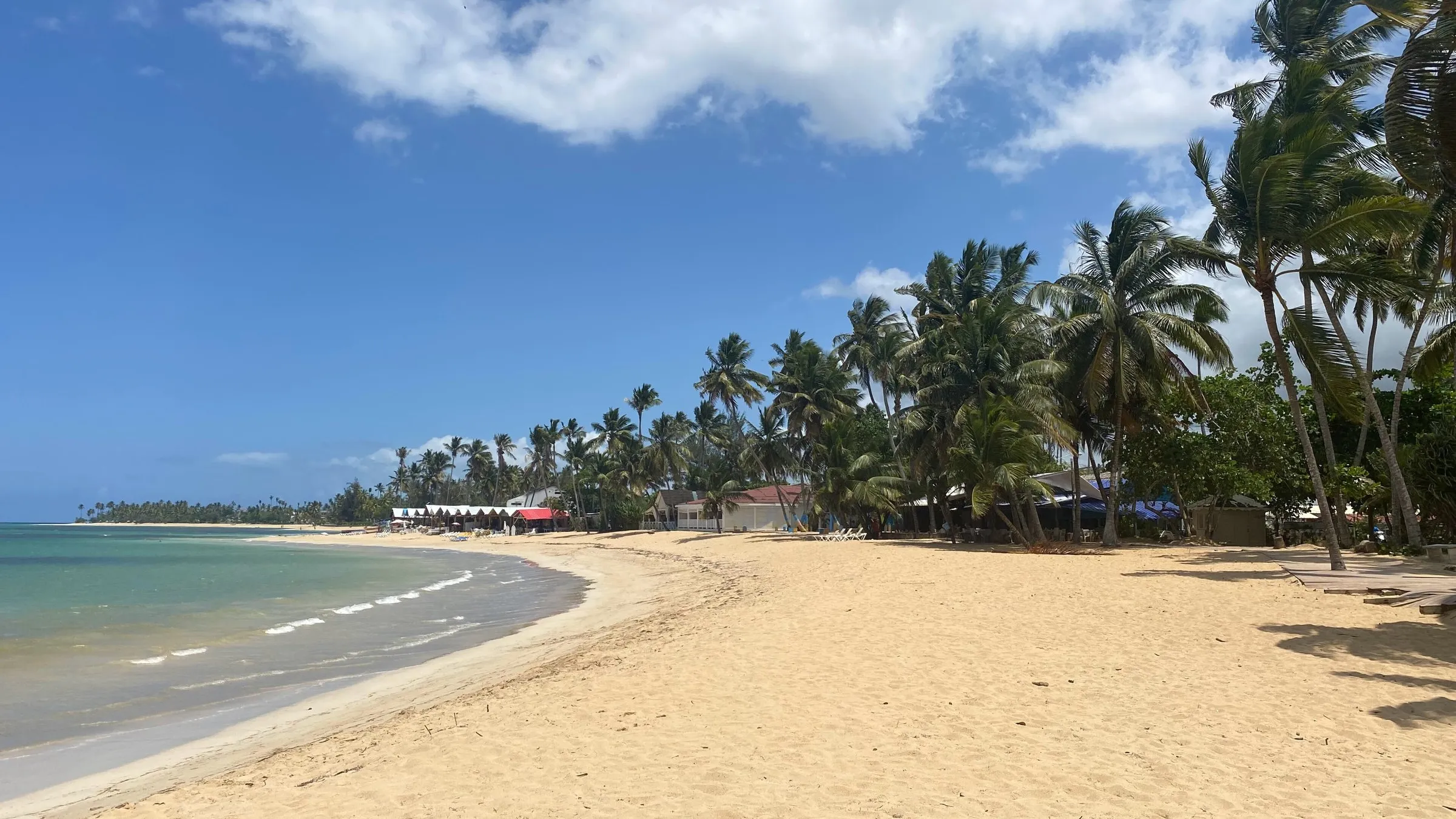 Geschwungener Sandstrand mit Palmen in Las Terrenas auf der Halbinsel Samaná.