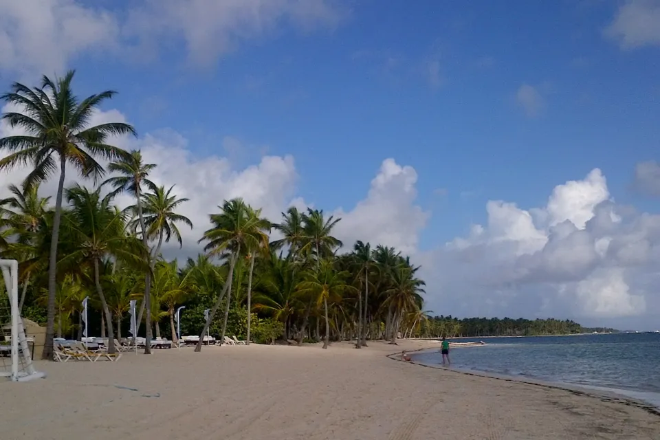 Palmengesäumter Strand von Punta Cana mit sanft geschwungener Küstenlinie.
