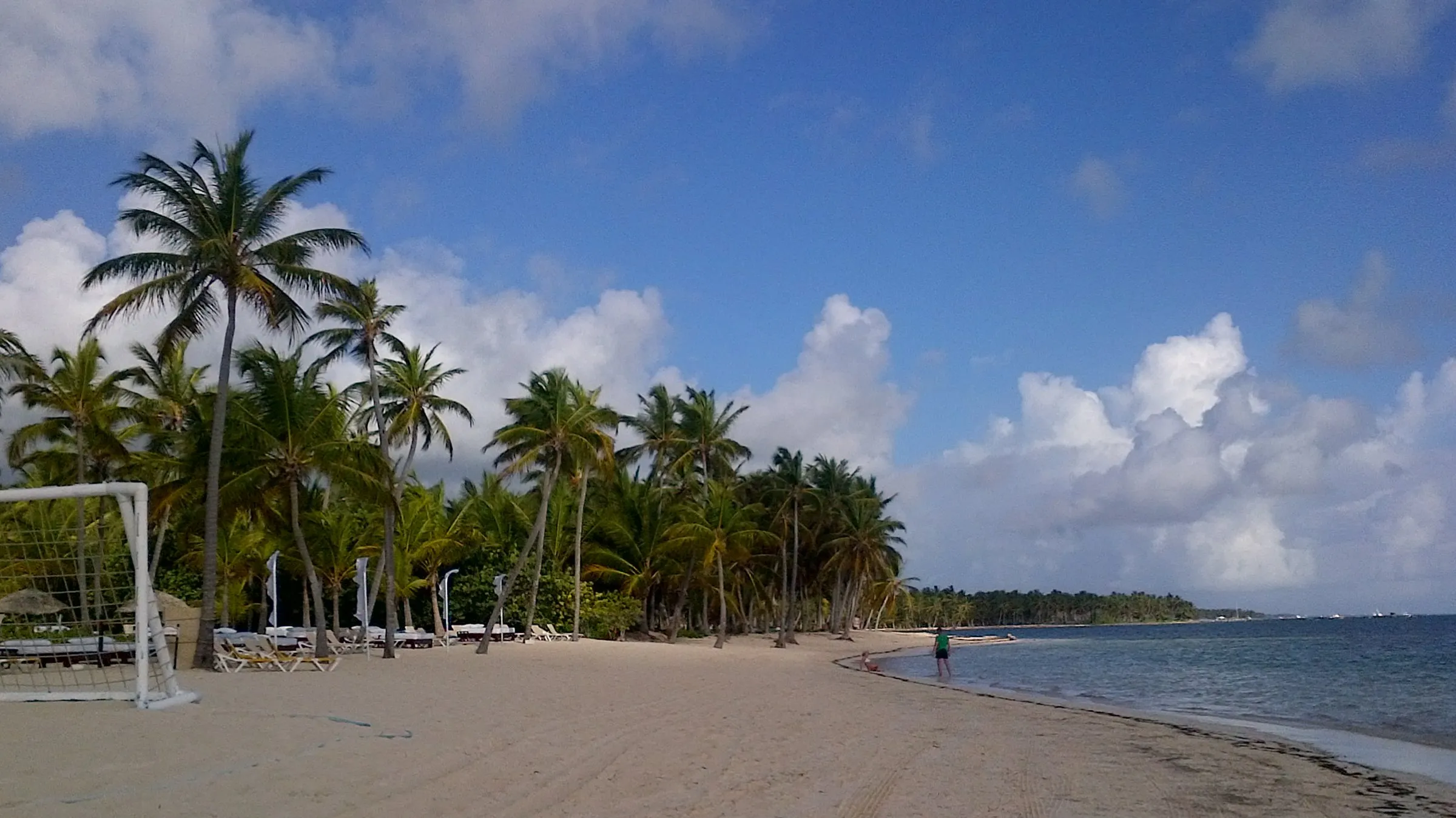 Palmengesäumter Strand von Punta Cana mit sanft geschwungener Küstenlinie.