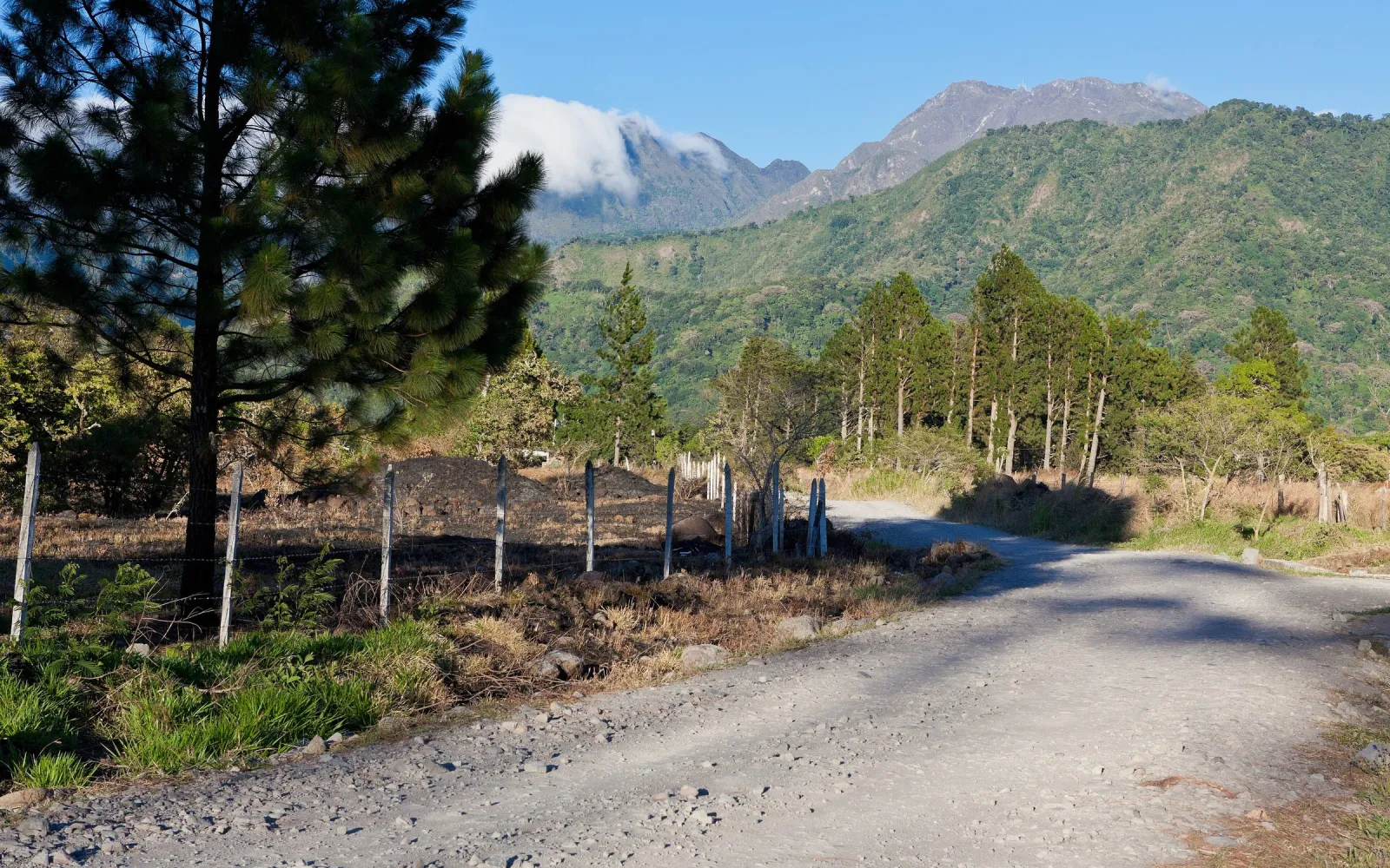 Der Gipfel des Vulkans Barú über Kiefern und einer Landstraße bei Volcán.