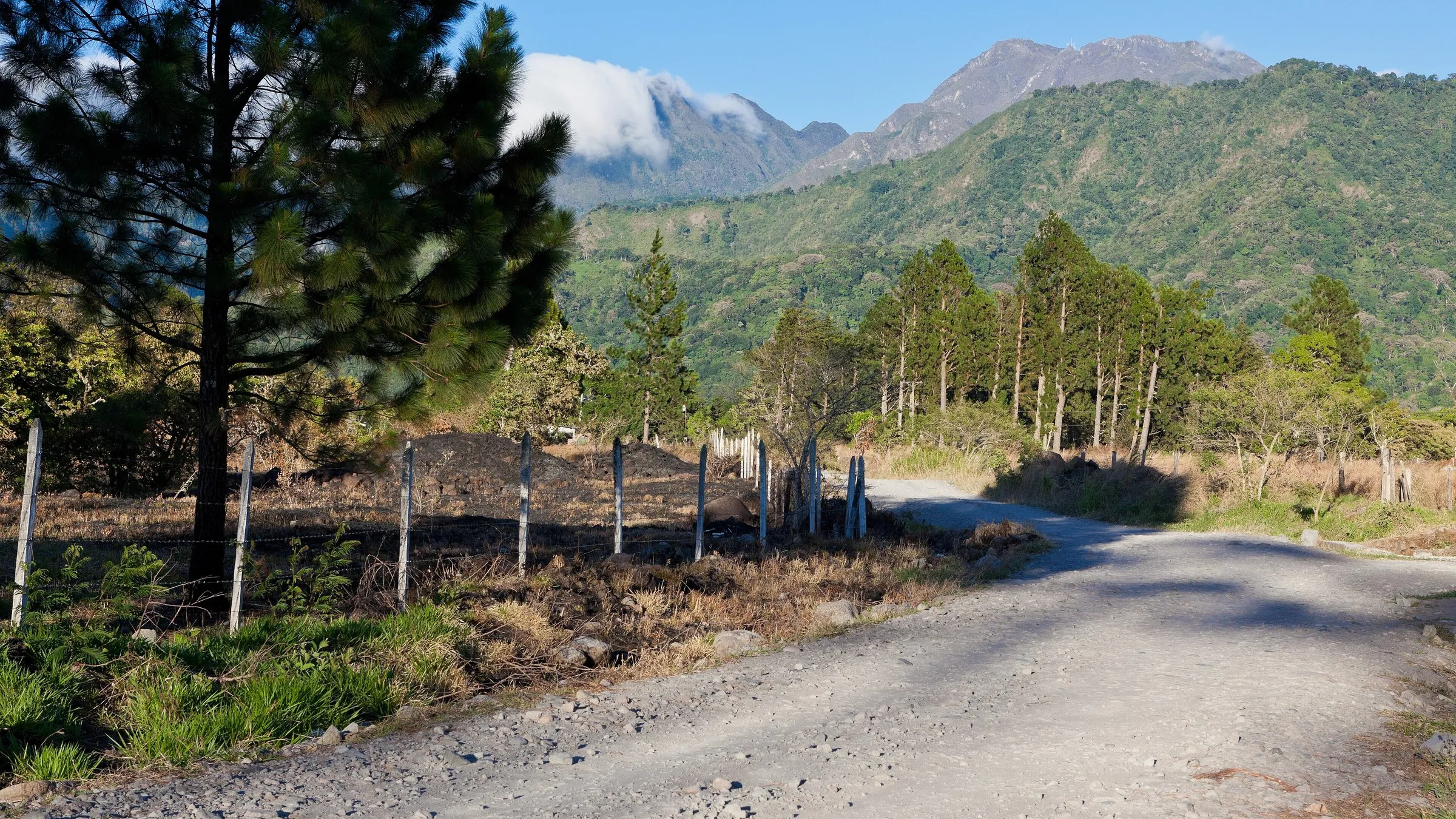 Der Gipfel des Vulkans Barú über Kiefern und einer Landstraße bei Volcán.