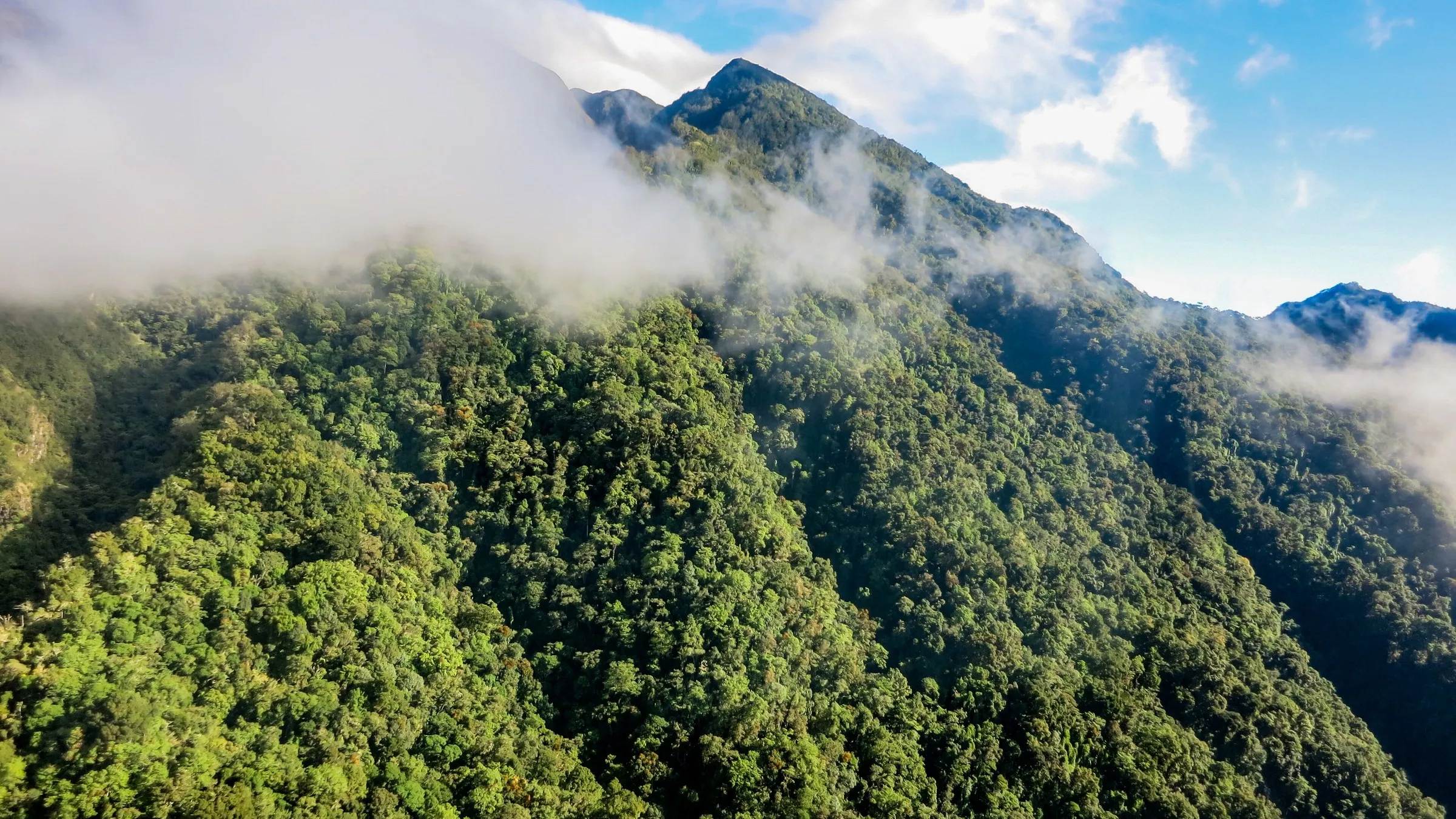Bewaldete Hänge des Volcán Barú mit Wolken am Gipfel.
