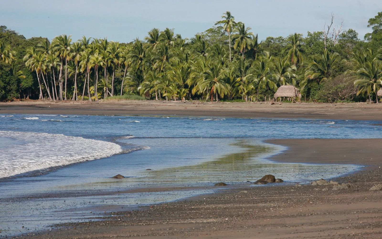 Breiter Strand mit Kokospalmen bei Santa Catalina an der Pazifikküste Panamas.