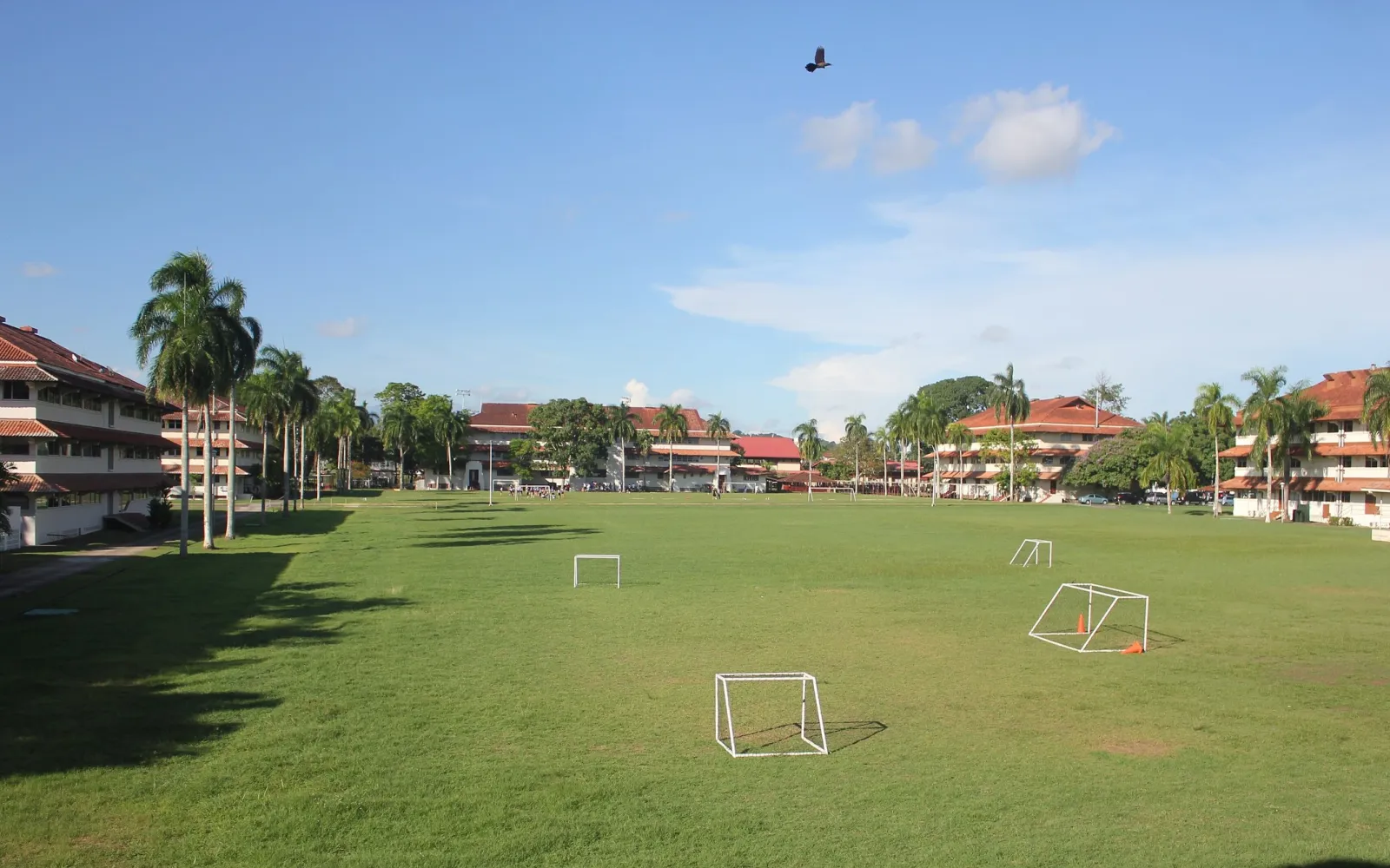 Grüner Campus der Ciudad del Saber mit Sportfeld und Gebäuden mit roten Dächern.